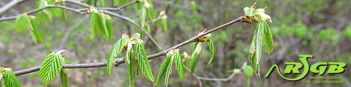 Retraite Sportive du Grand Besançon